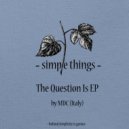 MDC (Italy) - The Question Is