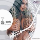 ATB - 9PM - Till I Come