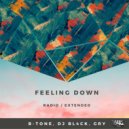 B-Tone & DJ BL4CK & GRY - Feeling Down (Extended Mix)