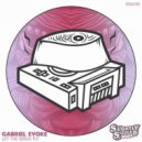 Gabriel Evoke - Let the Birds Fly