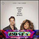 Kygo & Tina Turner Vs. James Hype & SAINt JHN - Whats Love Vs. Roses