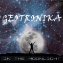 Geotronika - Серебряный путь