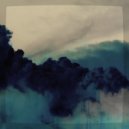 Tineidae - BURDEN