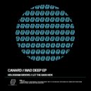 Canard - Hologram Groove