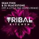 Sean Finn & DJ Blackstone - Cry A Little