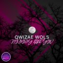 Qwizar Wols - Nobody Like You