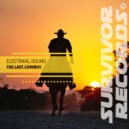 Electrikal Sound - Killer Acid
