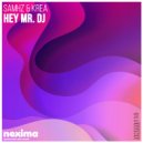 Samhz & Krea - Hey Mr. DJ