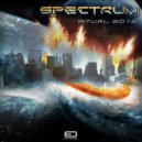 Spectrum - The Wizard Is Naked