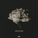 ORBi - Bankroll ()