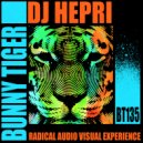 DJ Hepri - Radical Audio Visual Experience