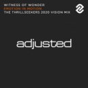 Witness Of Wonder - Emotion In Motion (The Thrillseekers 2020 Vision Mix - Edit)