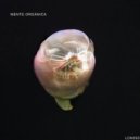 Mente Organica - Smthng