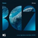 Cenn - Whale