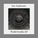 Boy Funktastic - Synthies