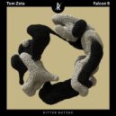 Tom Zeta - Falcon 9
