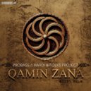 PROBASS ∆ HARDI feat. Folk5 Project - QAMIN ZANA