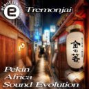 Tremonjai - Sound Evolution