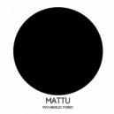 Mattu - NGC 1566