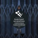 Pulse Plant - No Exception