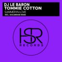 DJ Le Baron feat. Tommie Cotton - Summer In Love
