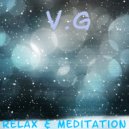 V.G. - Pluck (Original Mix)