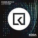 Charlie Rice - 1995 (Original mix)