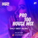 DJ Alexander Prinz - Pro100 House