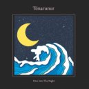 Tonarunur - Dive Into The Night (Original Mix)
