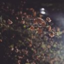 June Hyeok - Olae-Doen Milae (Original Mix)