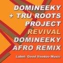 Domineeky & Tru Roots Project - Revival (24900 Miles From Home Version)