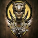 Temple Step Project feat. Madhu Honey - This Love