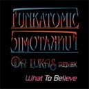 Funkatomic - What To Believe