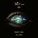 Tomy Wahl - Why (Original Mix)
