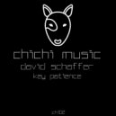 David Schaffer - In Meme Culture (Original Mix)