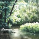 Harmonious - Hollow Spaces