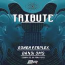 Vibers - Enigmatic (Original Mix)