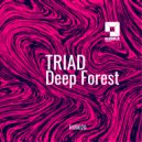 Triad - That Glitch Is Deep