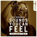Alex Finkin & DJ Disciple - House Music Is...