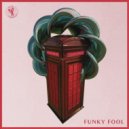 Funky Fool - Calling For You