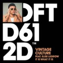 Vintage Culture Ft. Elise LeGrow - It Is What It Is