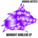 Disco Ball\'z - Riot (Original Mix)
