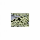 Mindfulness Healing BGM Project - Pizarro and Rhythm (Original Mix)