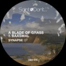 A Blade Of Grass, Baasmal - Synapse (Original Mix)