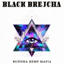 Black Brejcha - Atrium