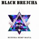 Black Brejcha - Karmacoma (Original Mix)