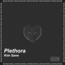 Kim Sane - Plethora