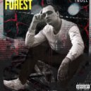 Troll - Forest
