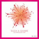 Schwarz & Funk - Such a Shame