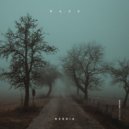 H.A.Z.E - Nebbia